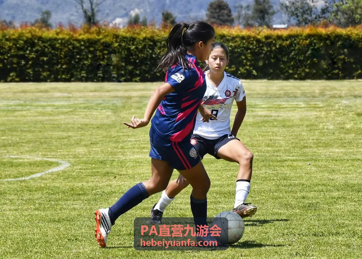 PA直营九游会竞技平台界面预览
