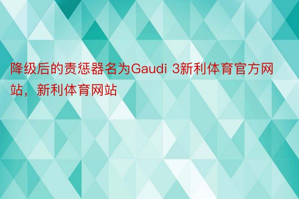 降级后的责惩器名为Gaudi 3新利体育官方网站，新利体育网站